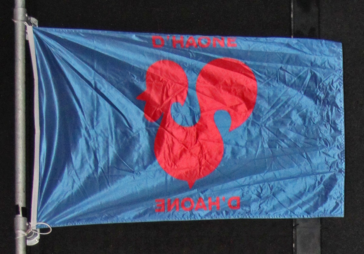 2016 01 24 Blauwe vlag met rode Haone logo